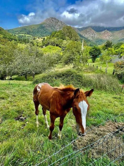 La Coqueta Del Sueve Villa Arriondas Buitenkant foto