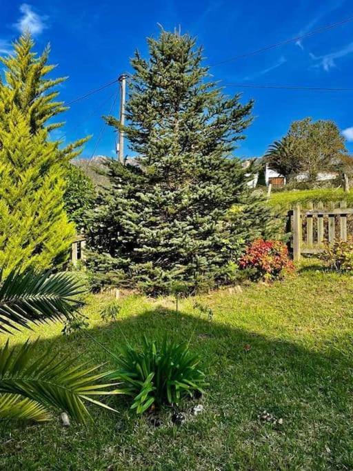 La Coqueta Del Sueve Villa Arriondas Buitenkant foto