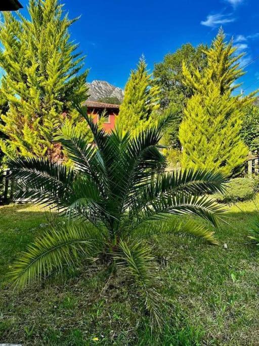 La Coqueta Del Sueve Villa Arriondas Buitenkant foto