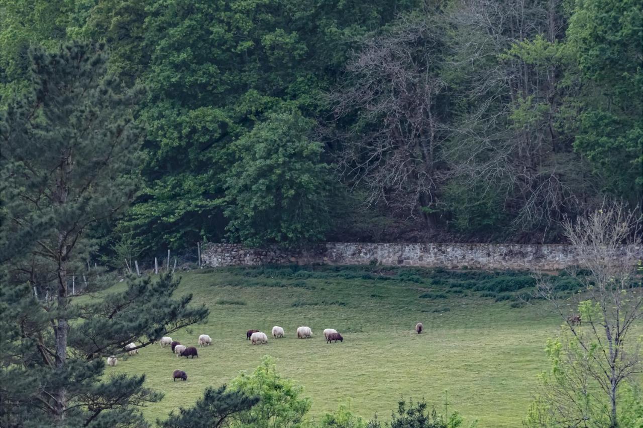 La Coqueta Del Sueve Villa Arriondas Buitenkant foto