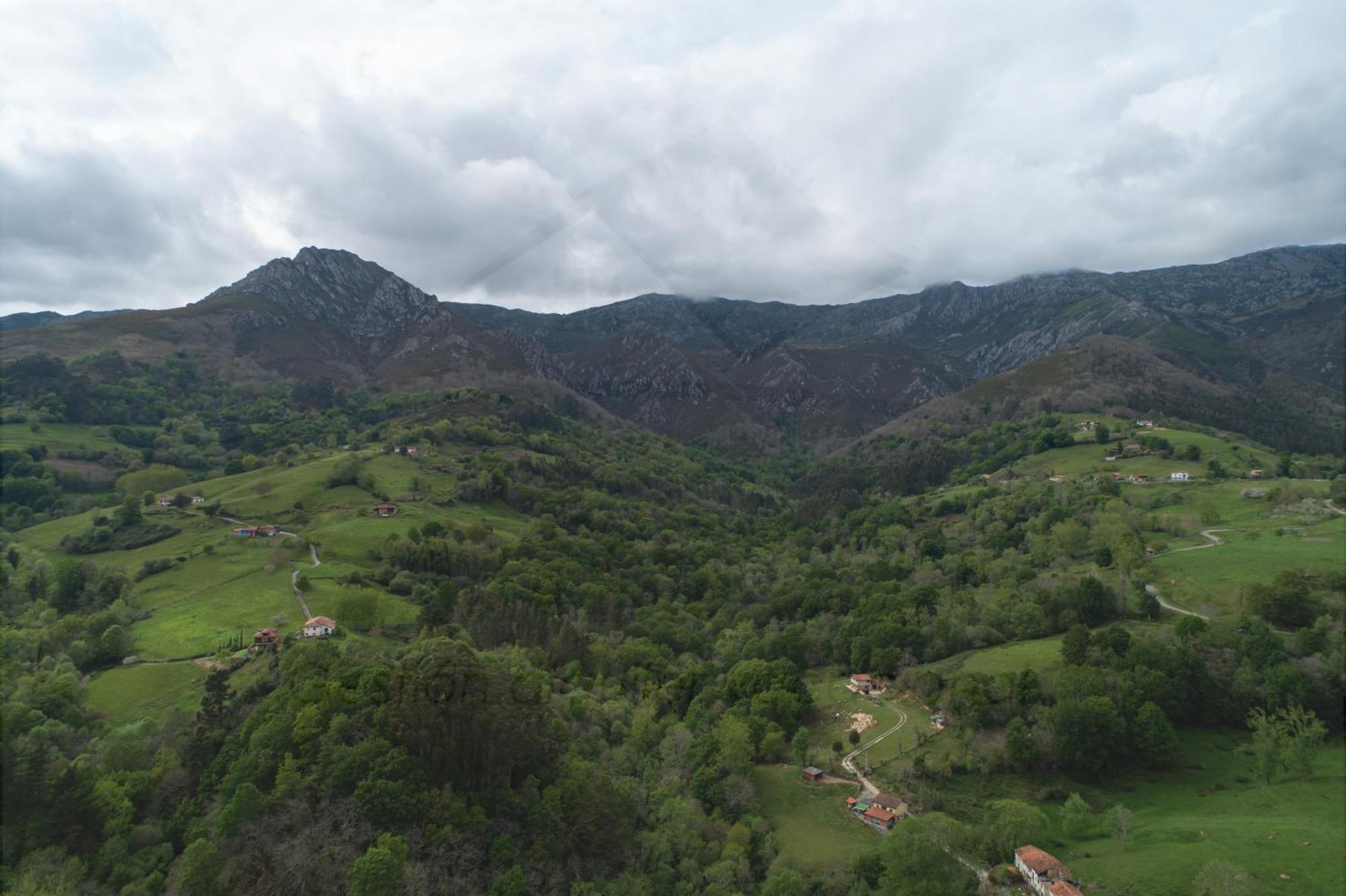 La Coqueta Del Sueve Villa Arriondas Buitenkant foto