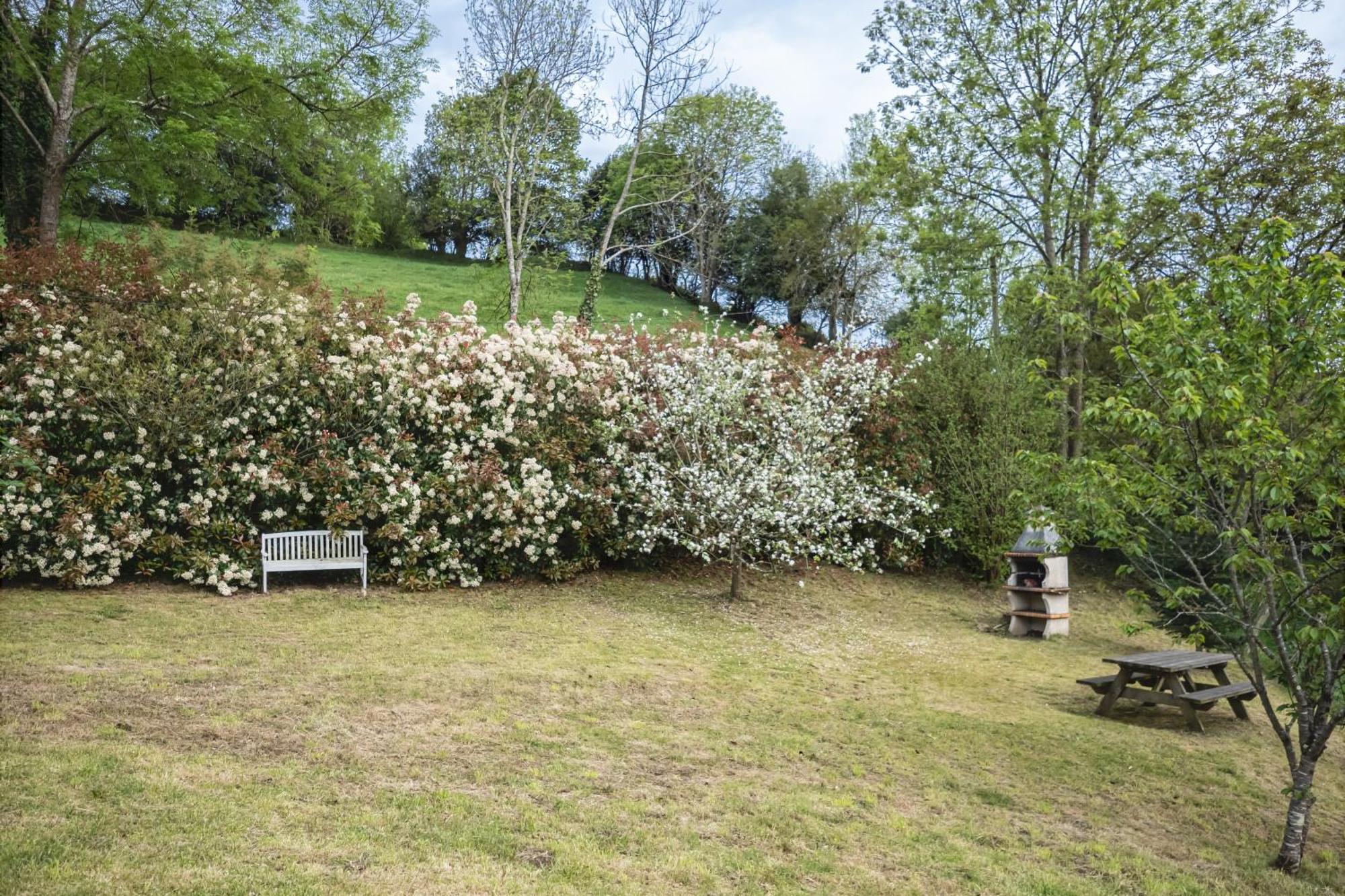 La Coqueta Del Sueve Villa Arriondas Buitenkant foto